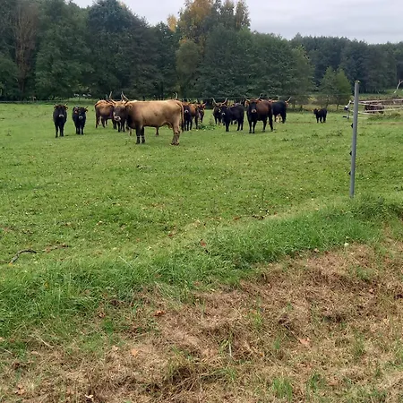 Am Pinzigberg * Deyelsdorf