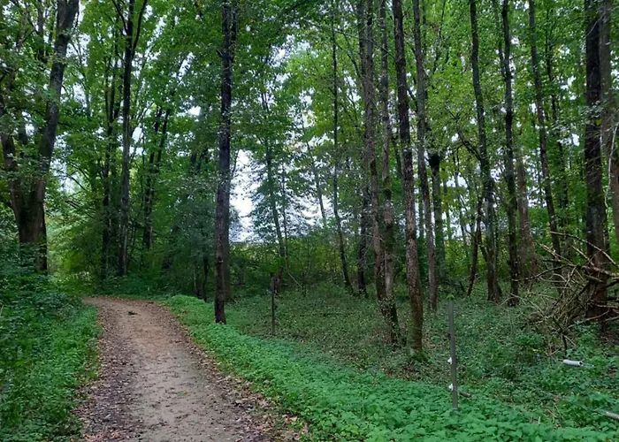 Appartement Am Pinzigberg Deyelsdorf